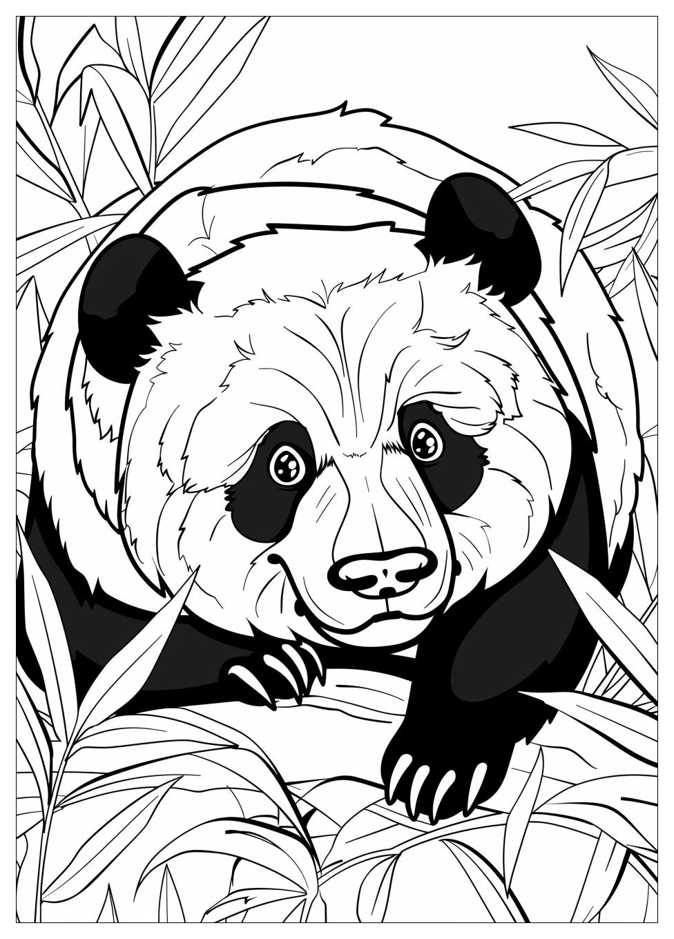 Panda Coloring Pages-12