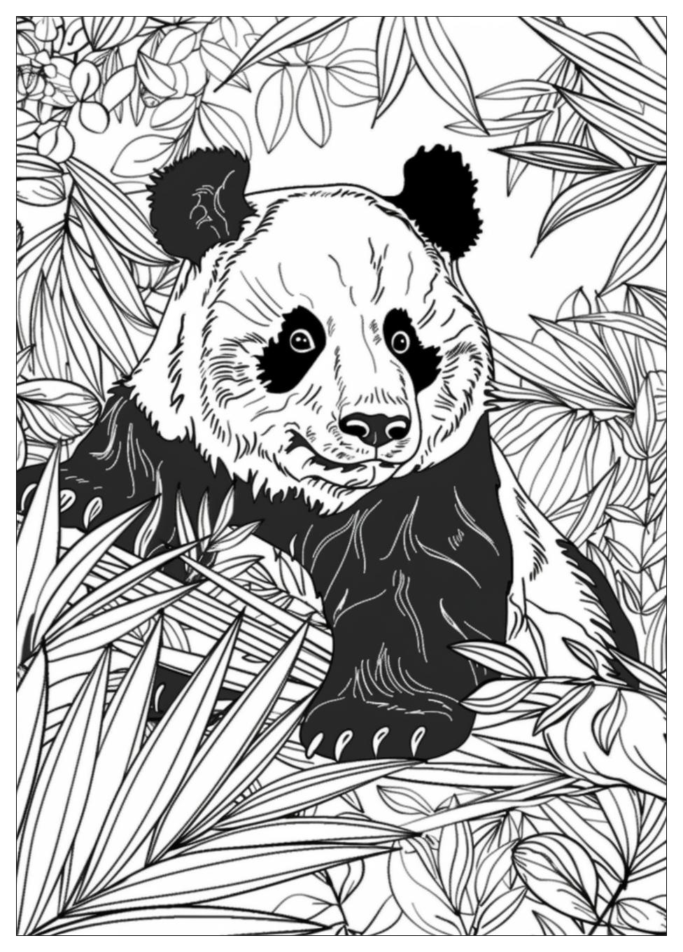 Panda Coloring Pages-15