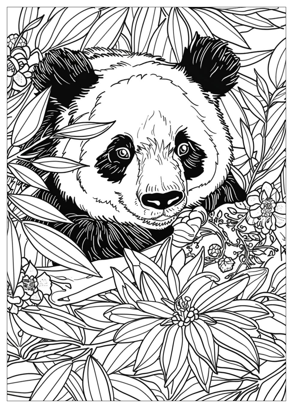 Panda Coloring Pages-18