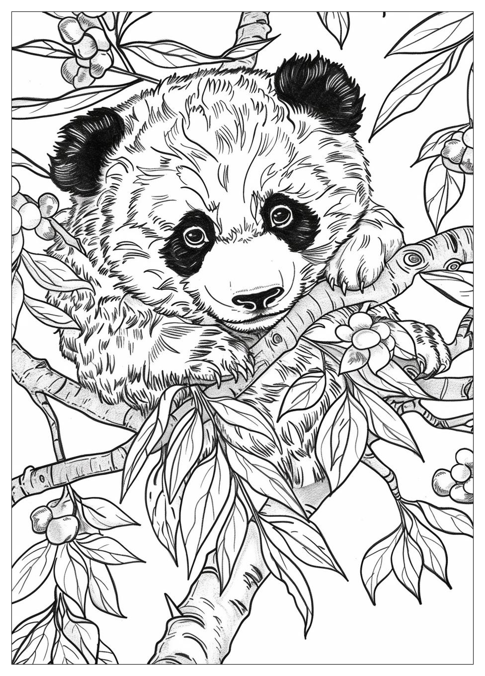 Panda Coloring Pages-19