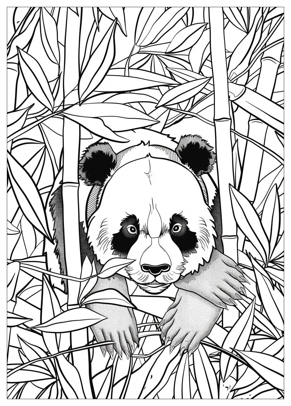 Panda Coloring Pages-2