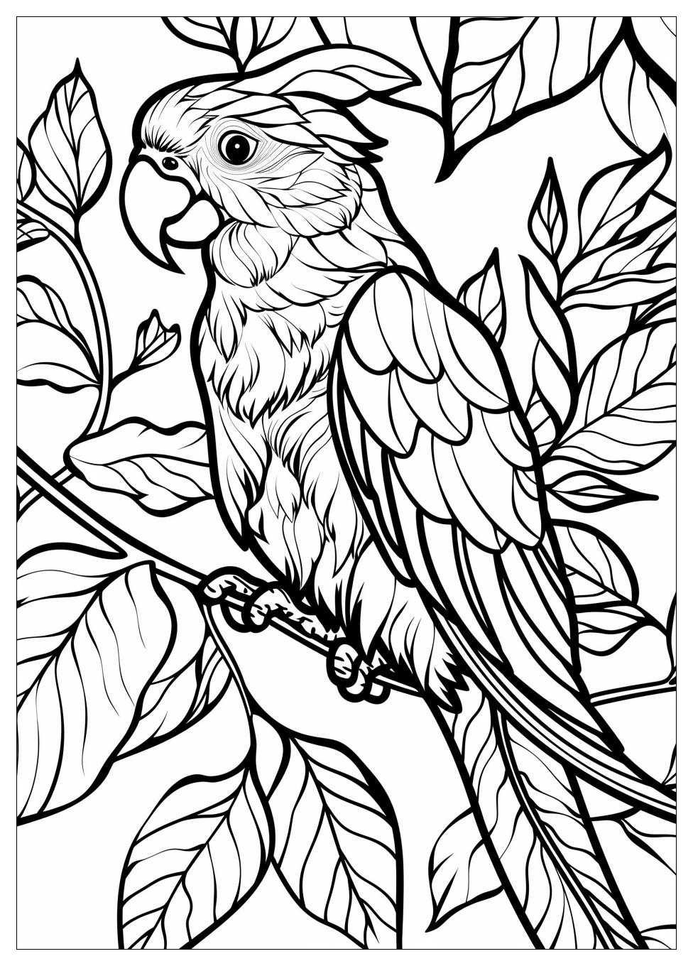 Parrot Coloring Pages-10