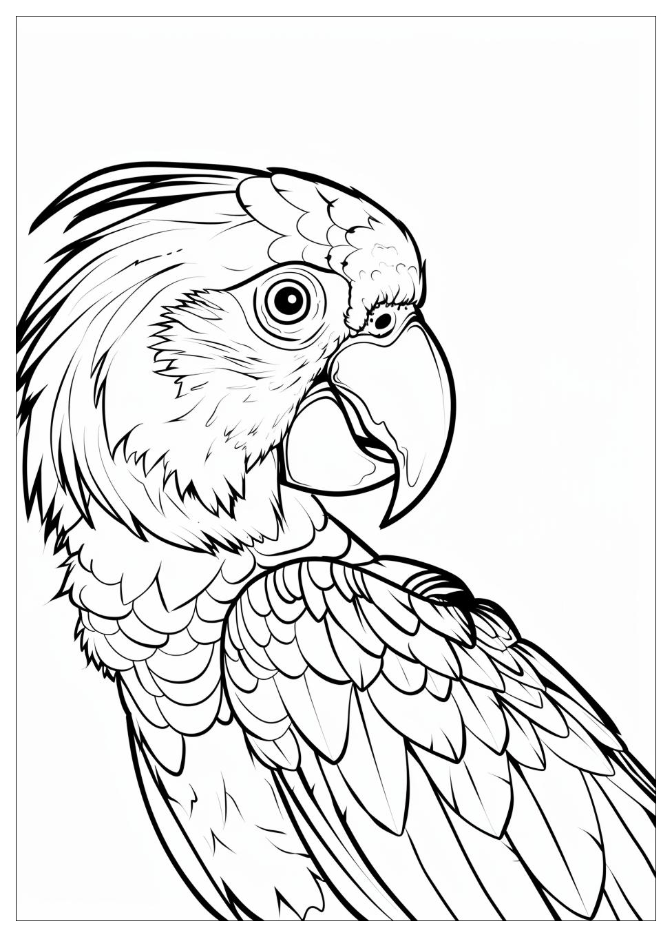 Parrot Coloring Pages-11