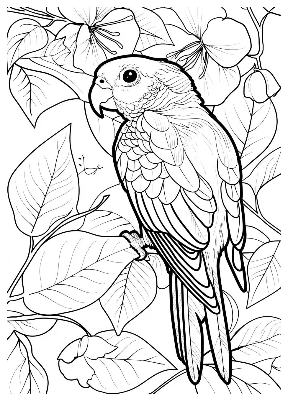 Parrot Coloring Pages-12