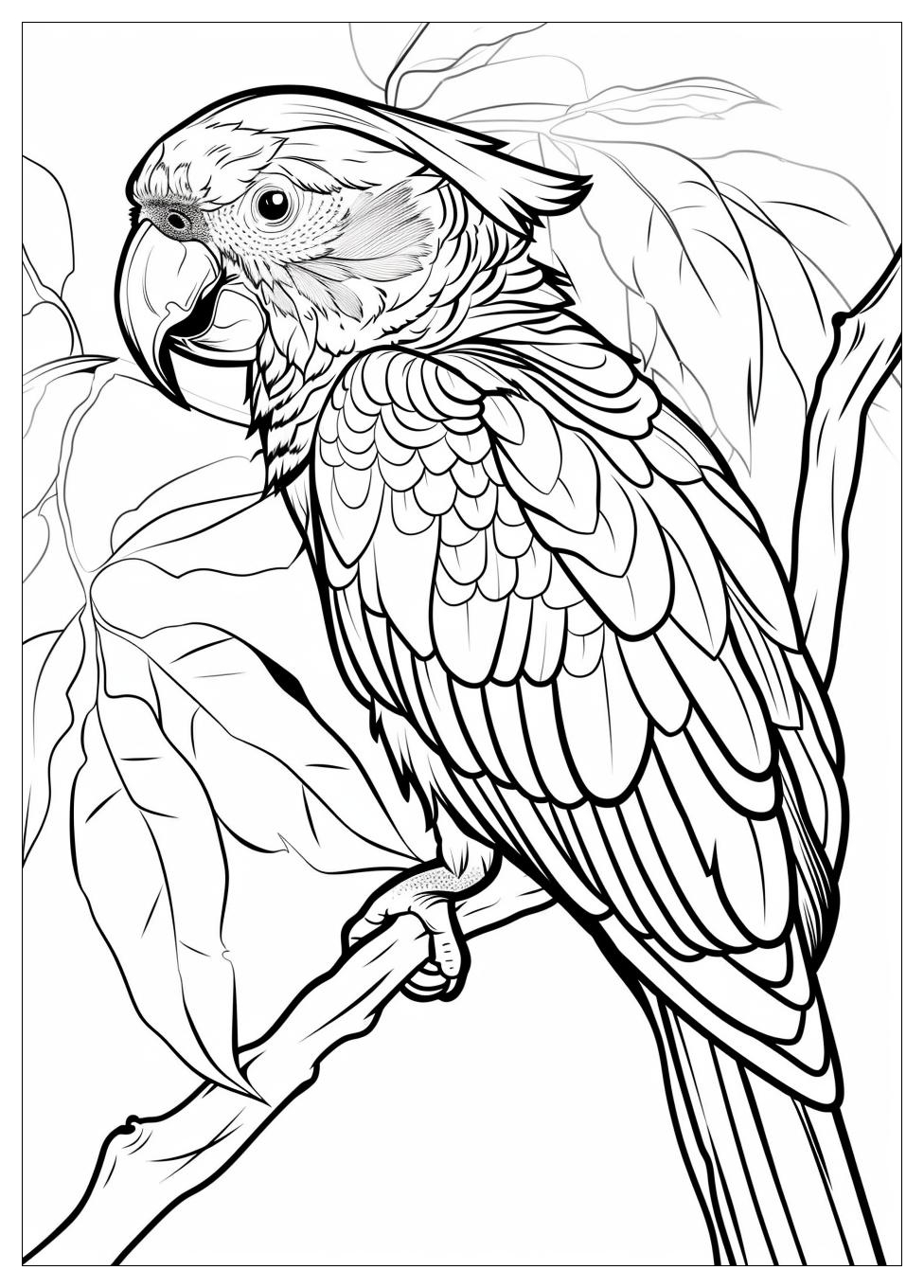 Parrot Coloring Pages-13