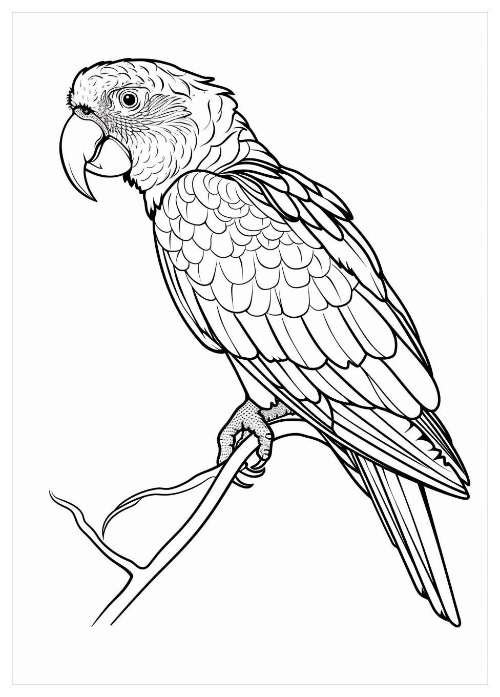 Parrot Coloring Pages-16