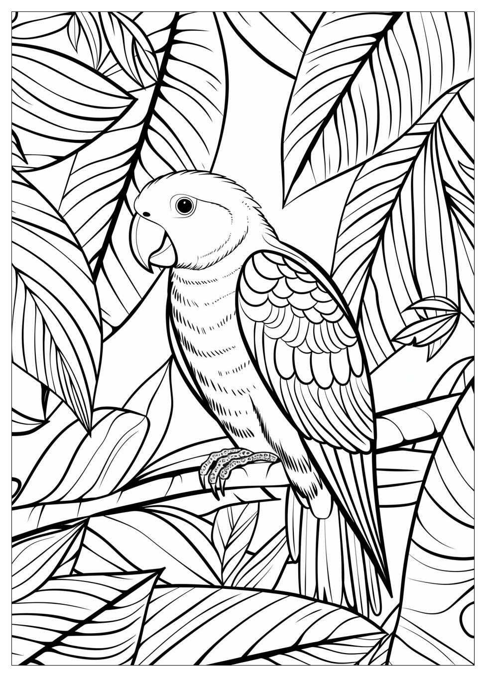 Parrot Coloring Pages-2