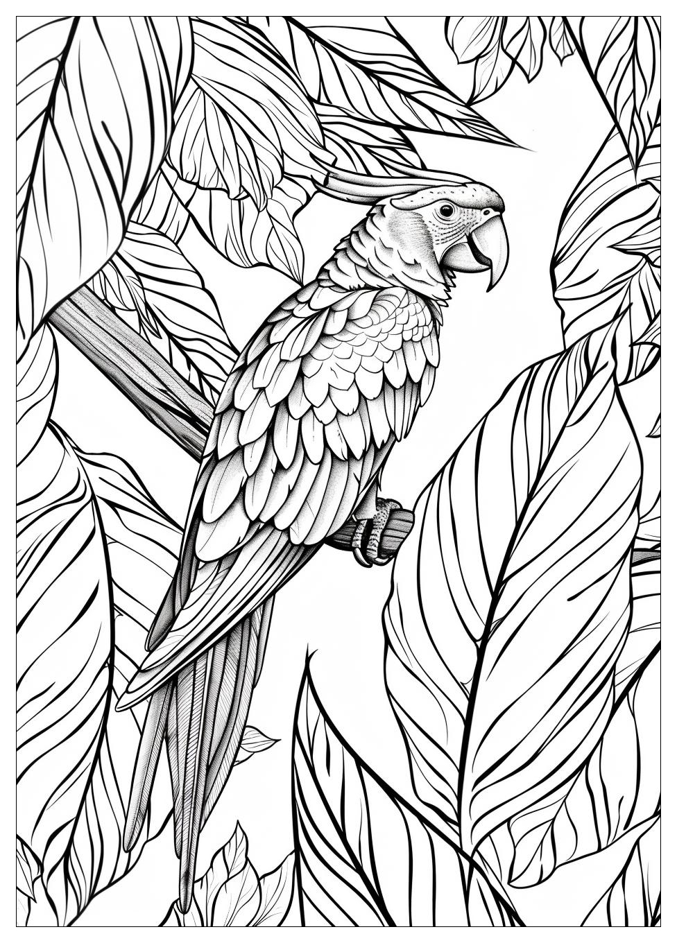 Parrot Coloring Pages-20