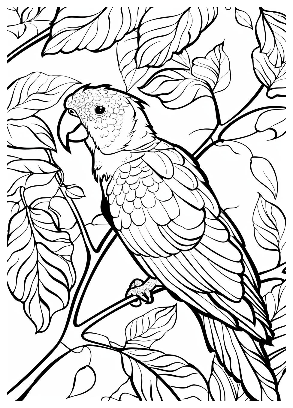 Parrot Coloring Pages-5