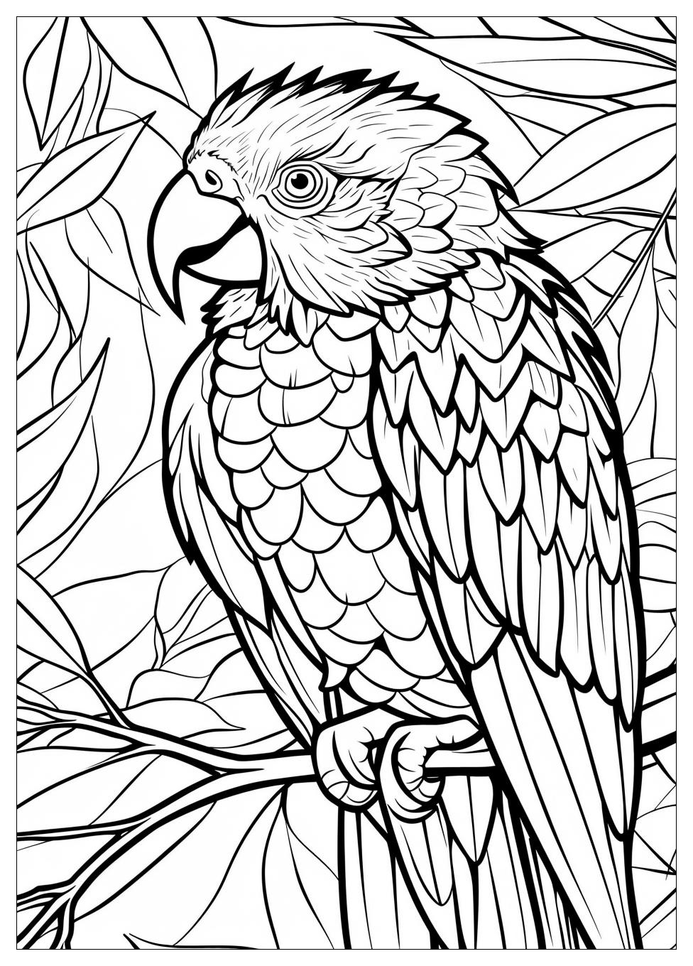 Parrot Coloring Pages-7