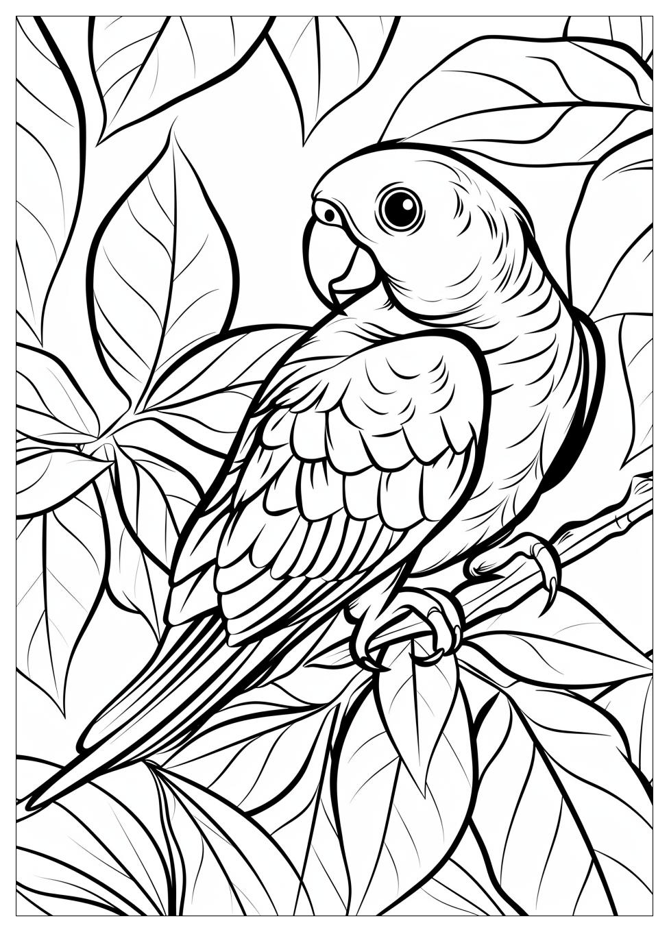 Parrot Coloring Pages-8