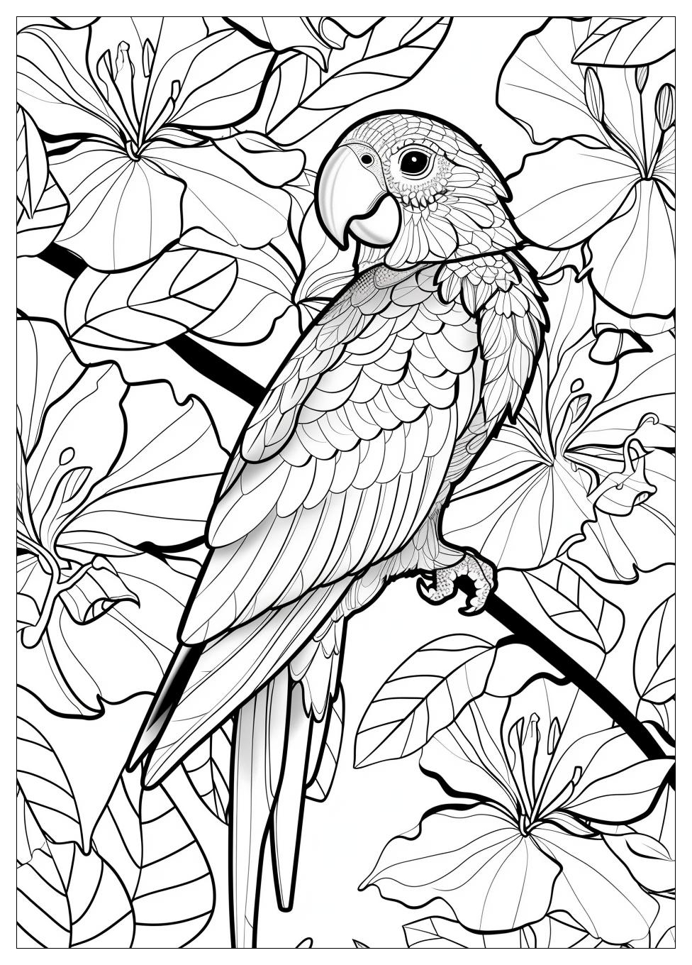 Parrot Coloring Pages-9