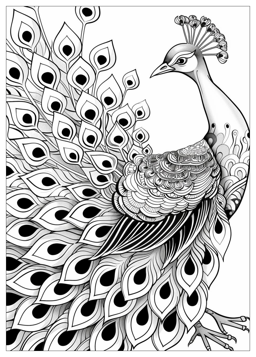 Peacock Coloring Pages-10