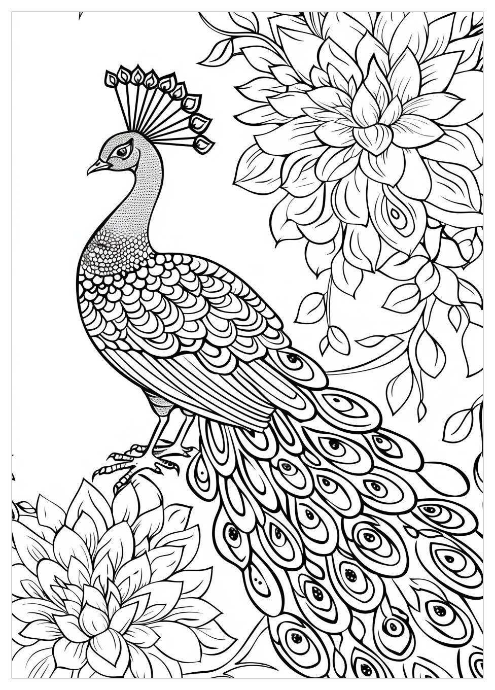 Peacock Coloring Pages-12