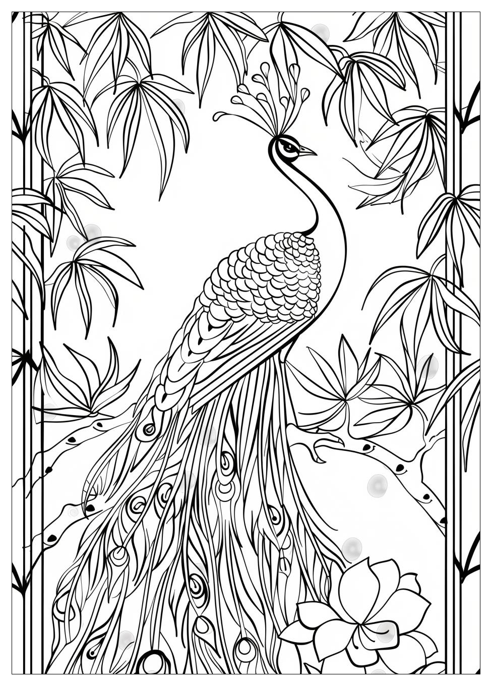 Peacock Coloring Pages-13