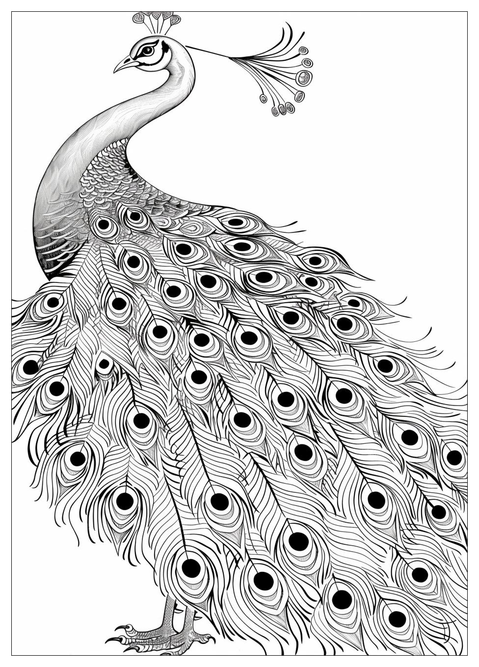 Peacock Coloring Pages-16