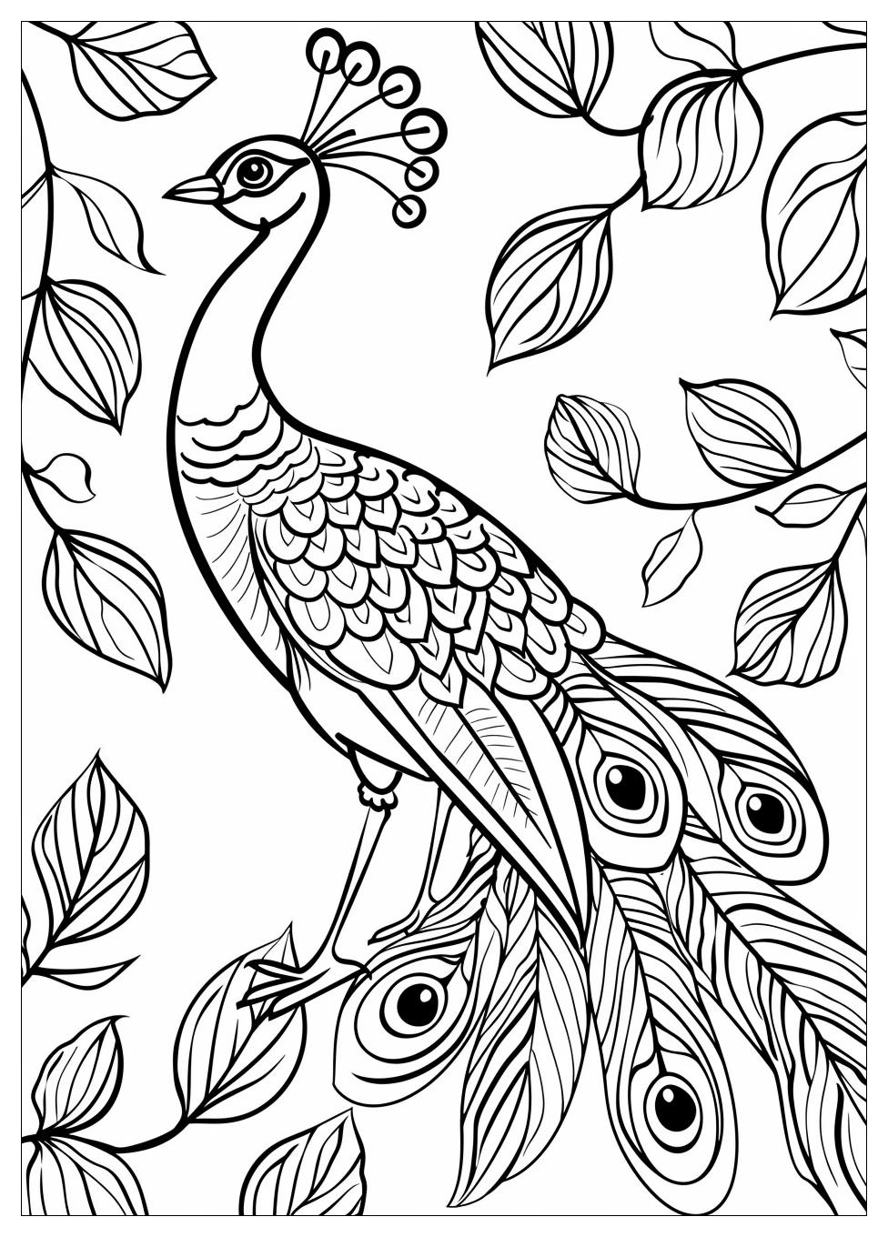 Peacock Coloring Pages-3