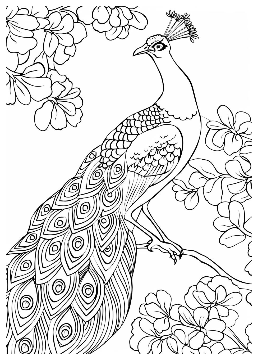 Peacock Coloring Pages-5