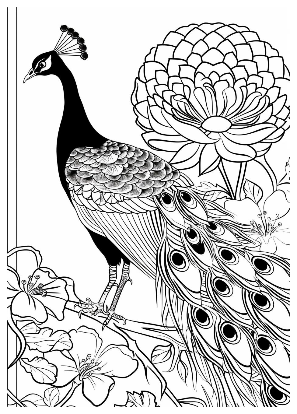 Peacock Coloring Pages-7