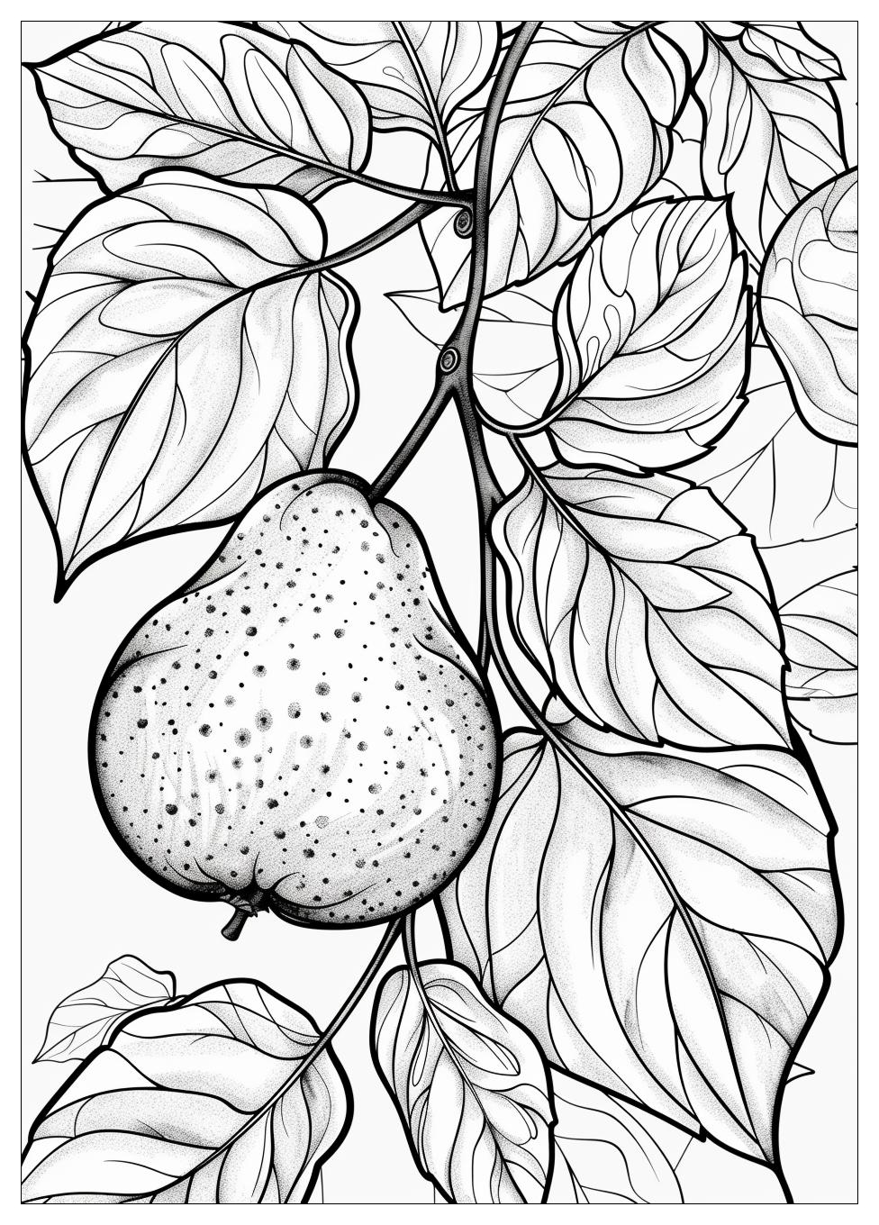 Pear Coloring Pages-17