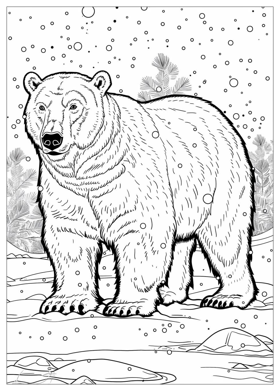 Polar Bear Coloring Pages-17