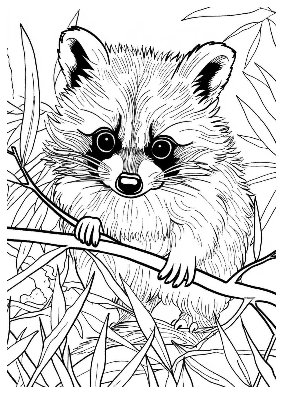 Racoon Coloring Pages-1