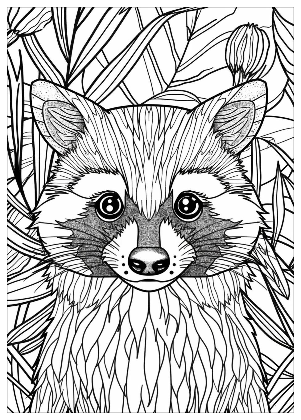 Racoon Coloring Pages-10