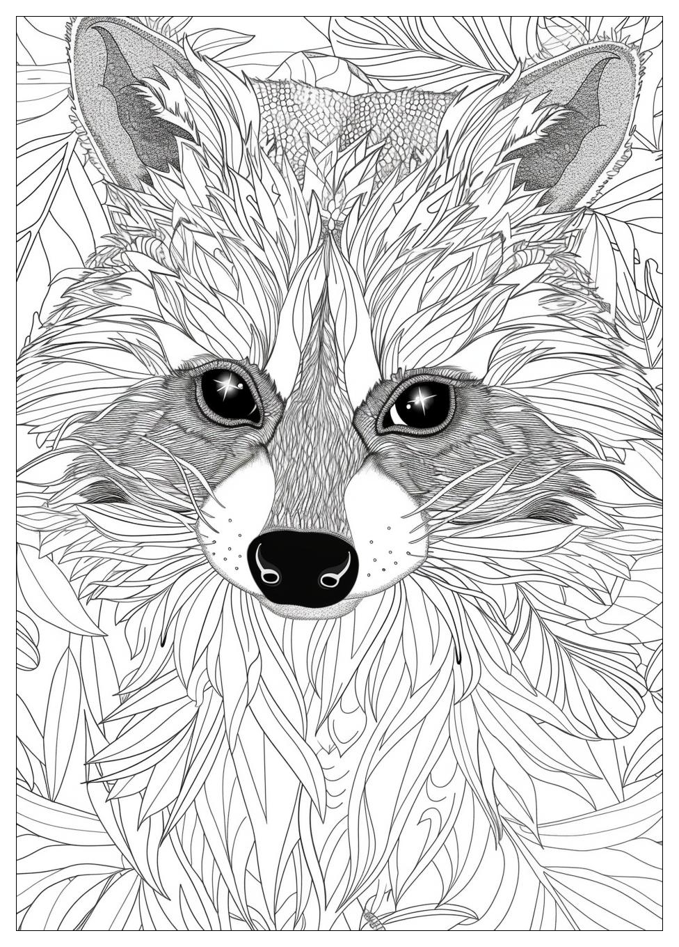 Racoon Coloring Pages-13