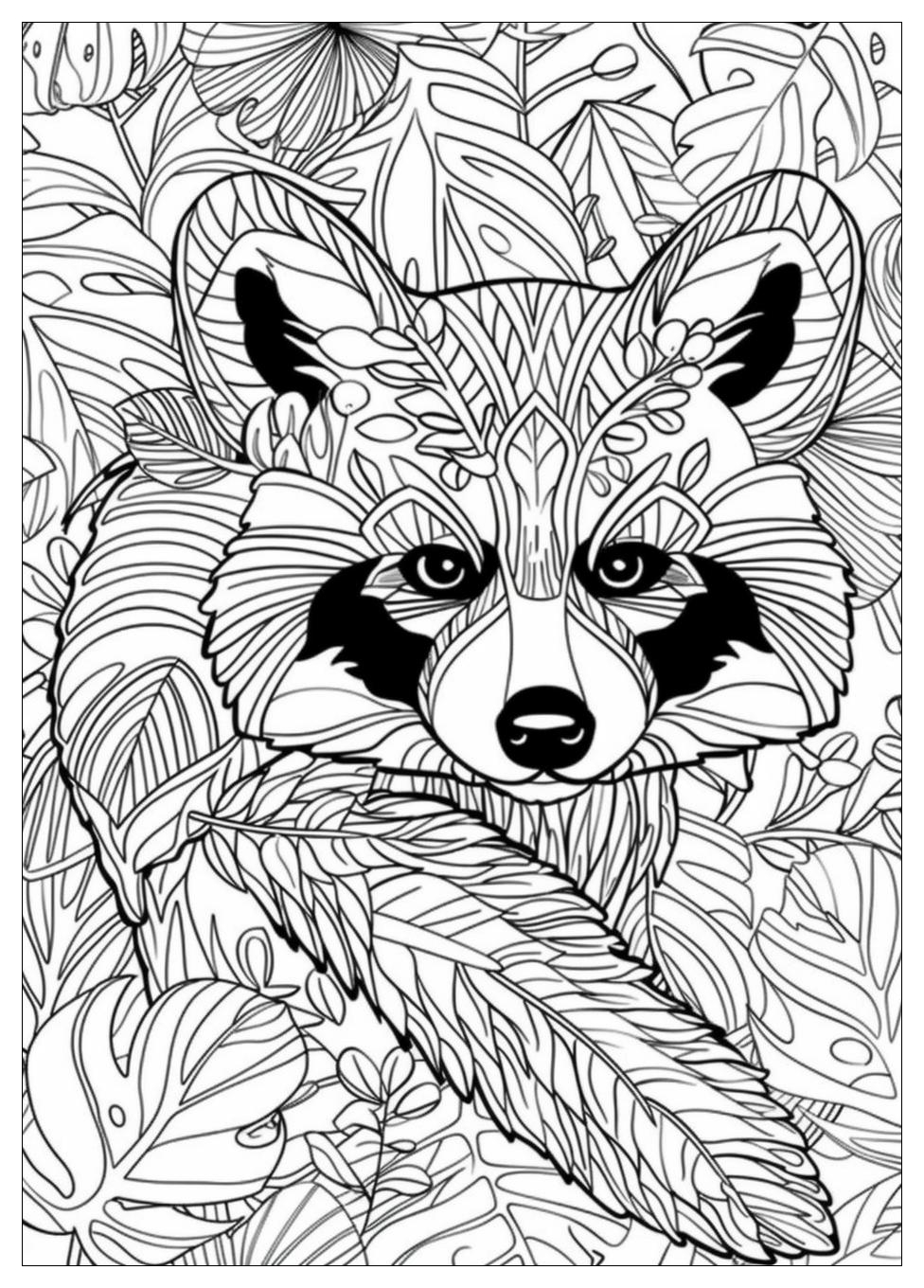 Racoon Coloring Pages-14