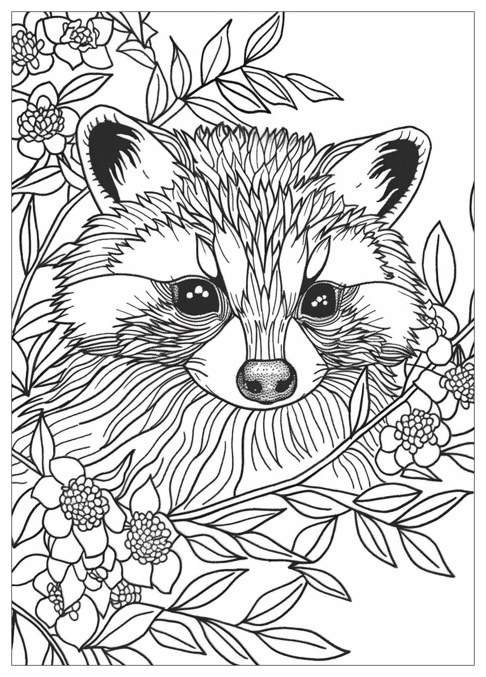 Racoon Coloring Pages-20