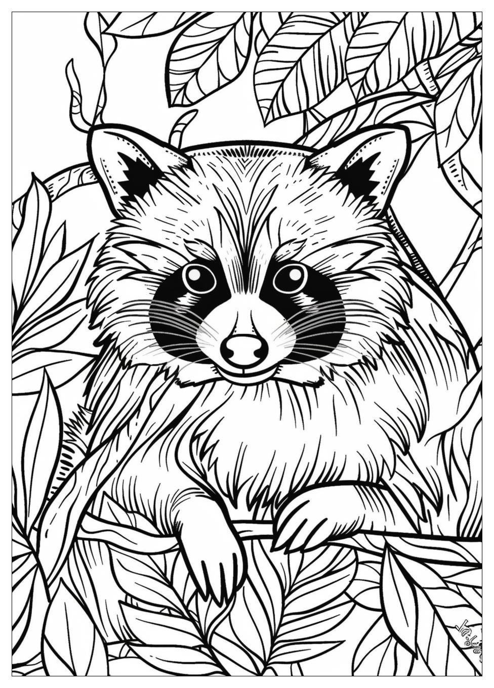 Racoon Coloring Pages-4