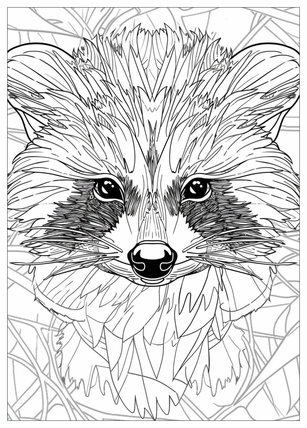 Racoon Coloring Pages-5