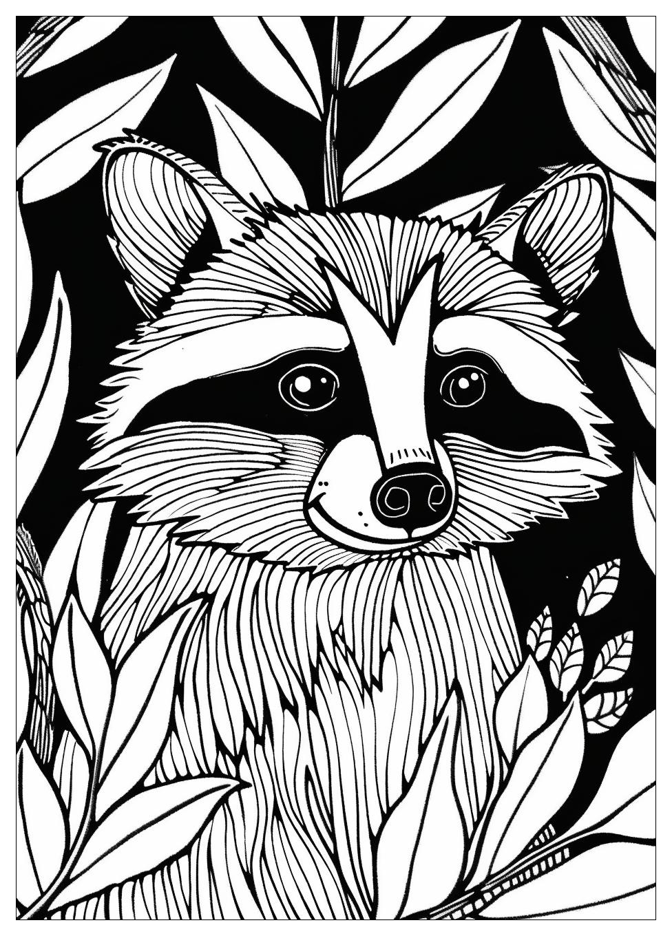 Racoon Coloring Pages-8