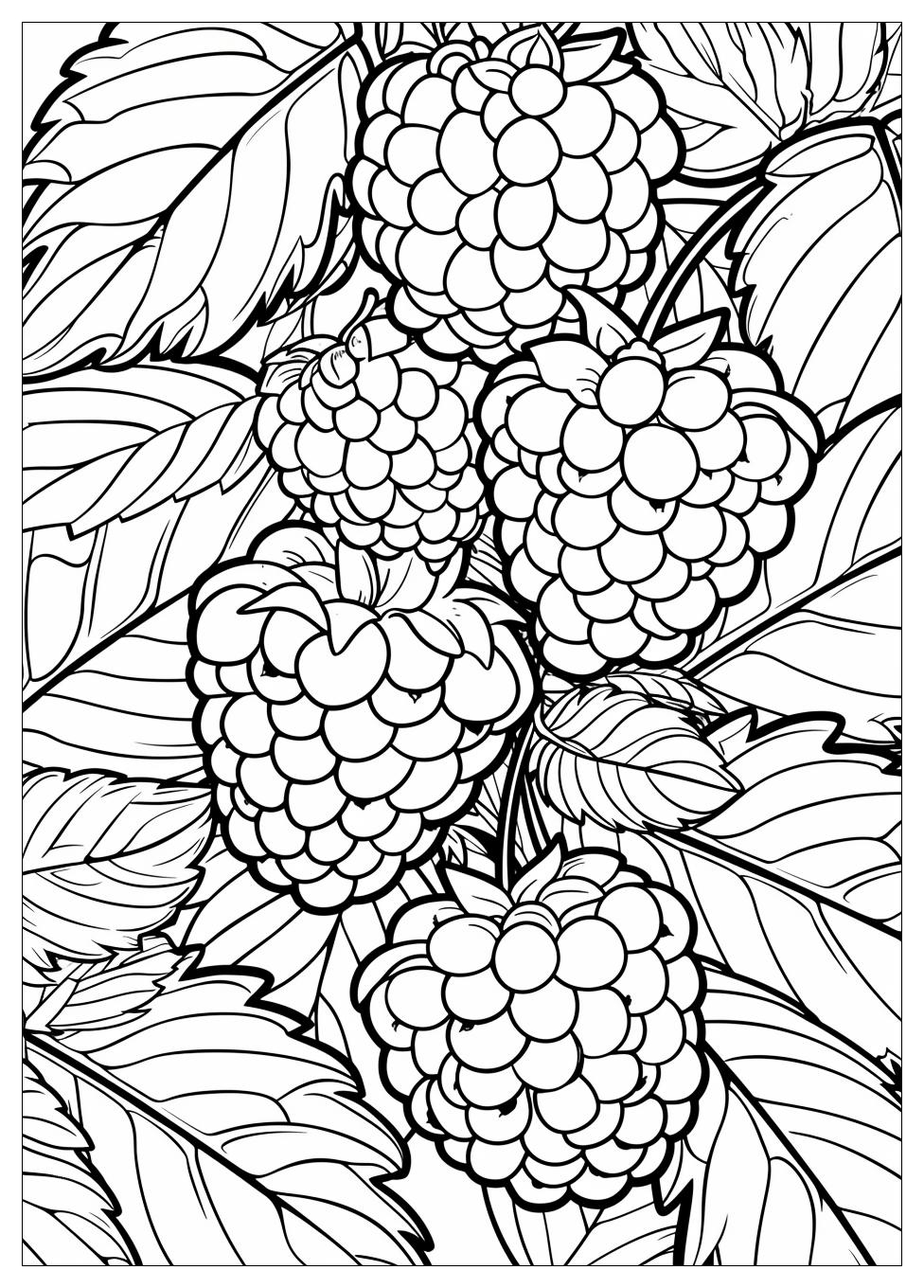 Raspberry coloring pages-1