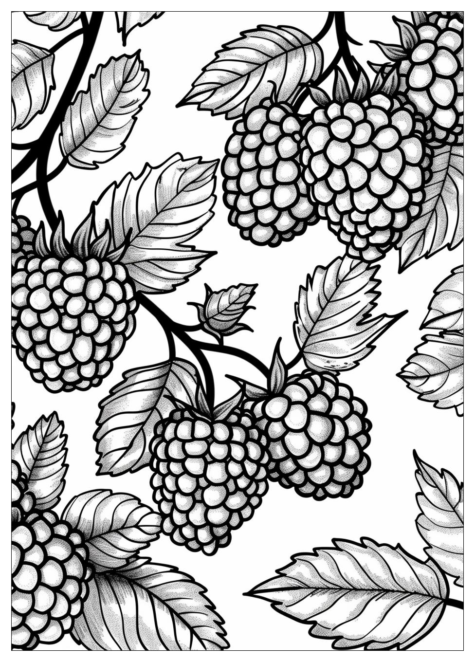 Raspberry coloring pages-13