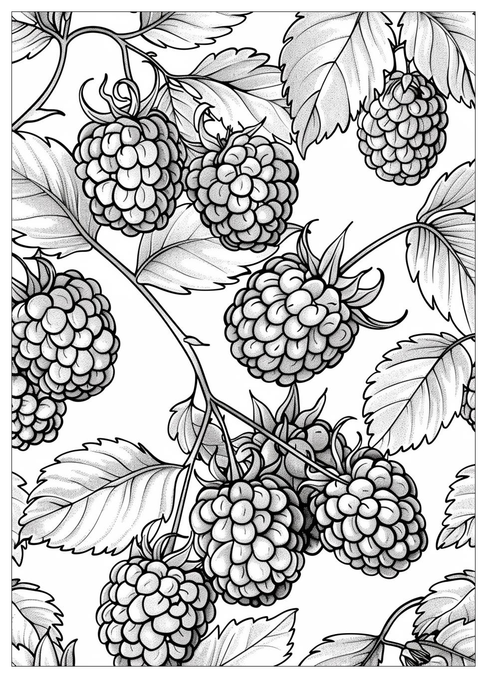 Raspberry coloring pages-14