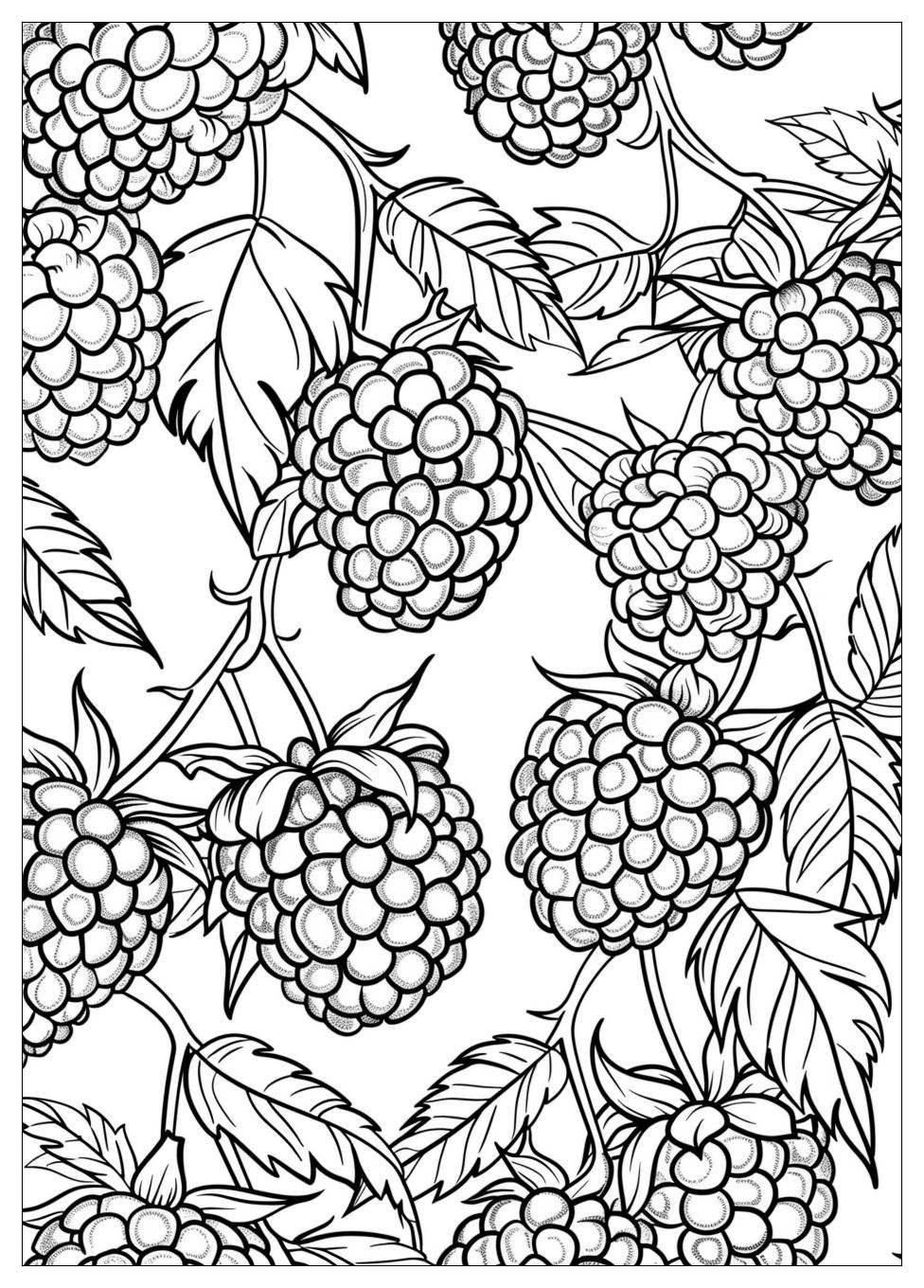 Raspberry coloring pages-15