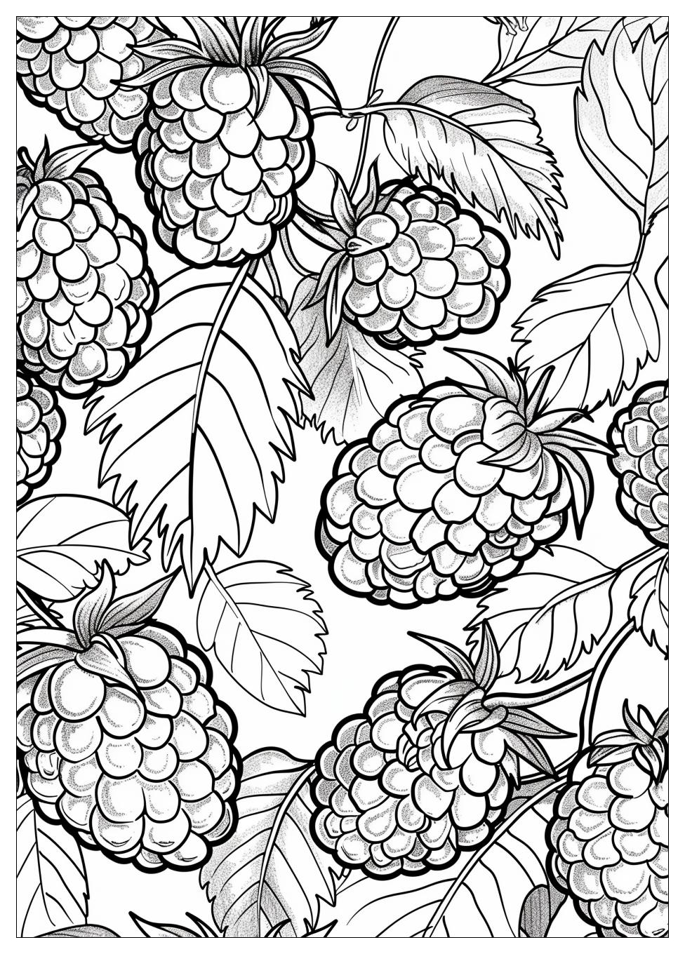 Raspberry coloring pages-16