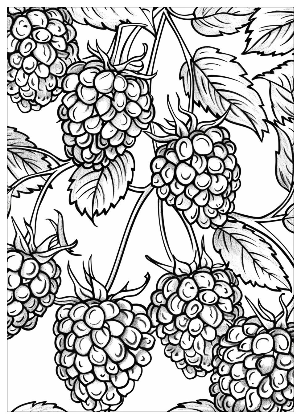 Raspberry coloring pages-19