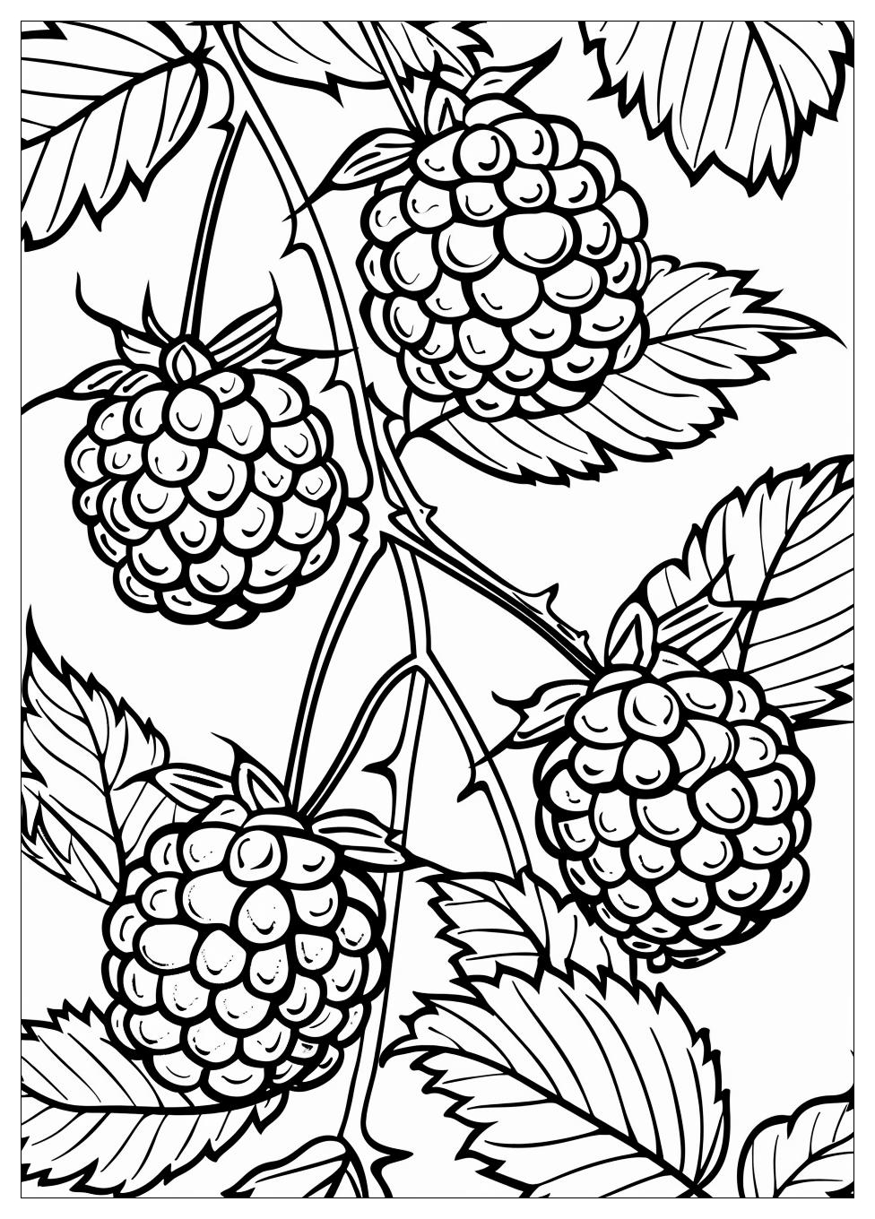 Raspberry coloring pages-3