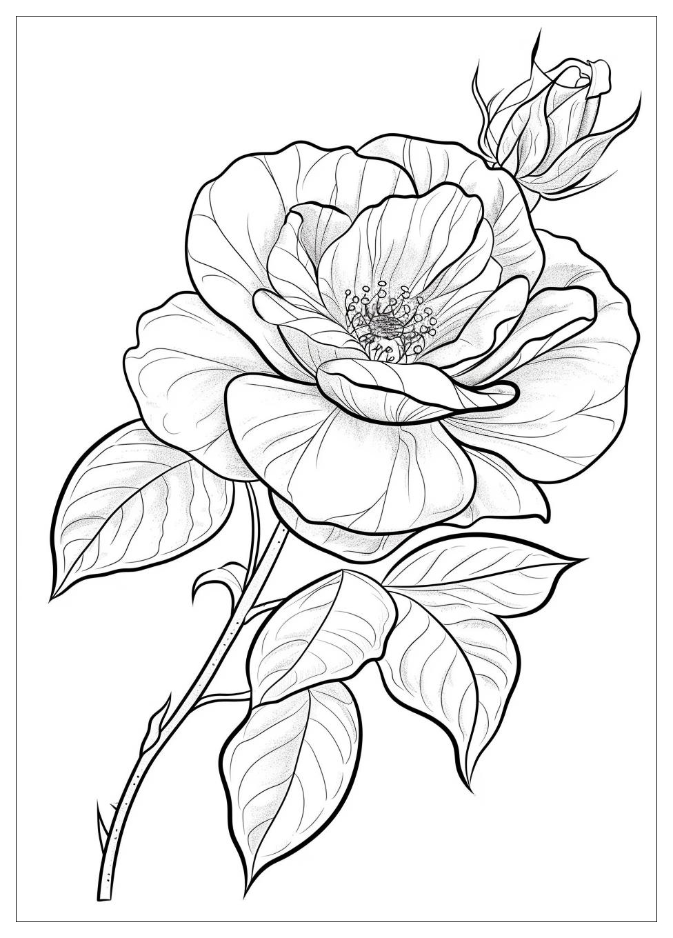 Realistic Flower Coloring Pages-12