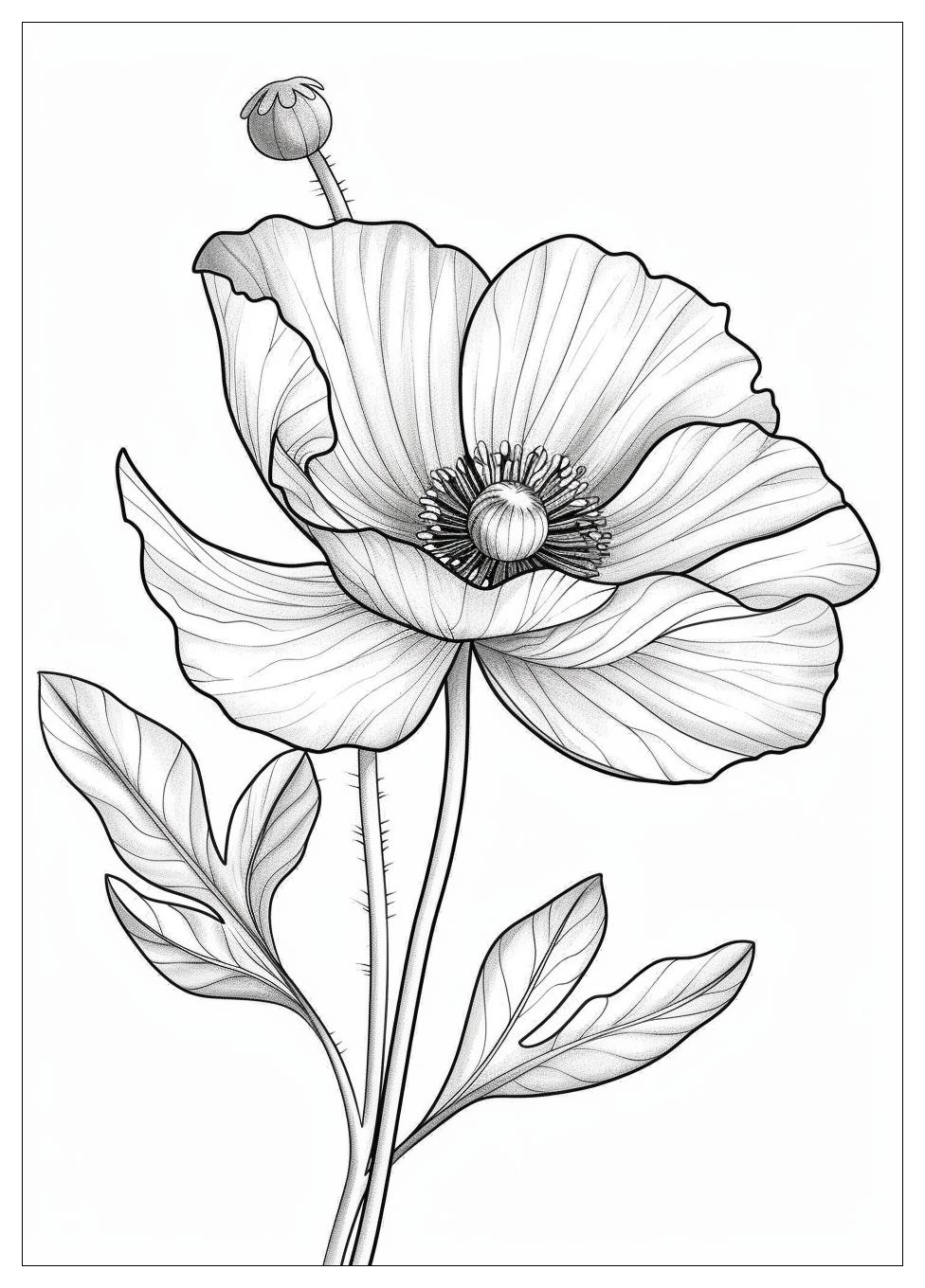 Realistic Flower Coloring Pages-4