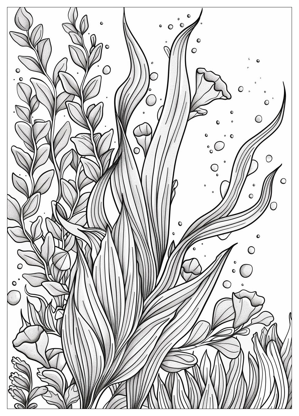 Seaweed Coloring Pages-18