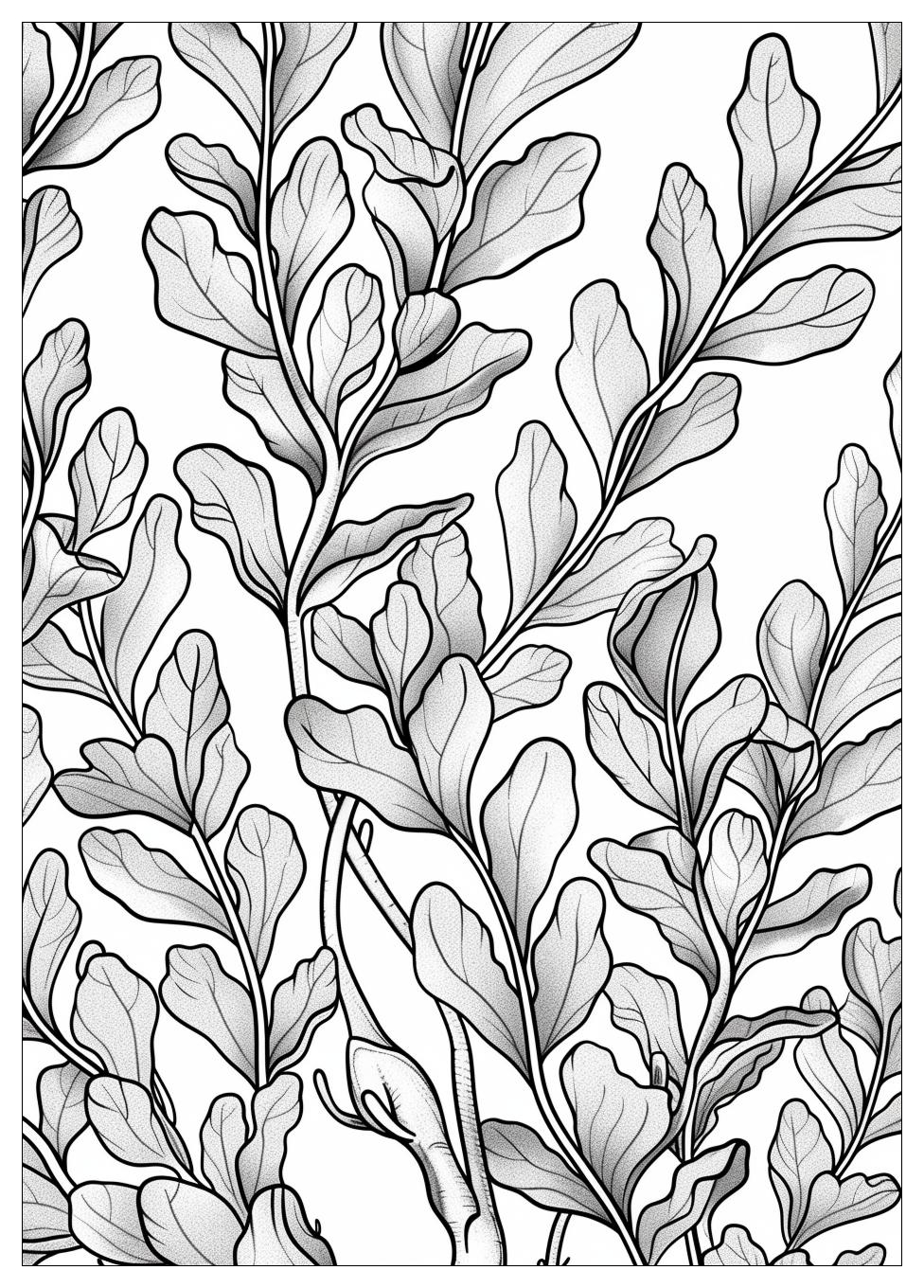 Seaweed Coloring Pages-19