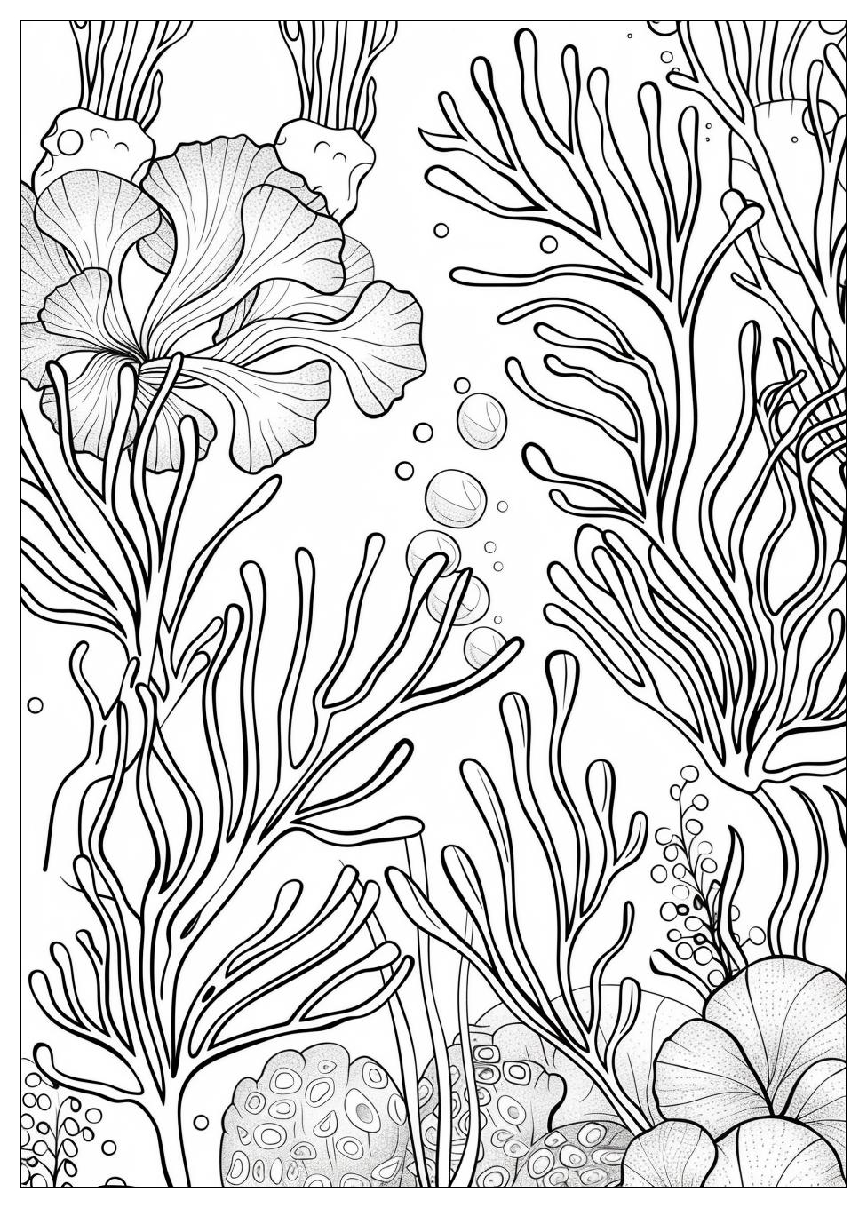 Seaweed Coloring Pages-20