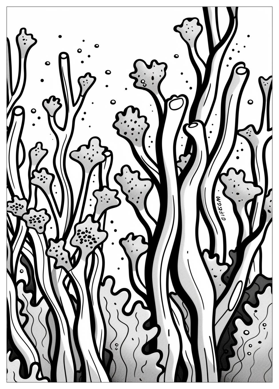 Seaweed Coloring Pages-8