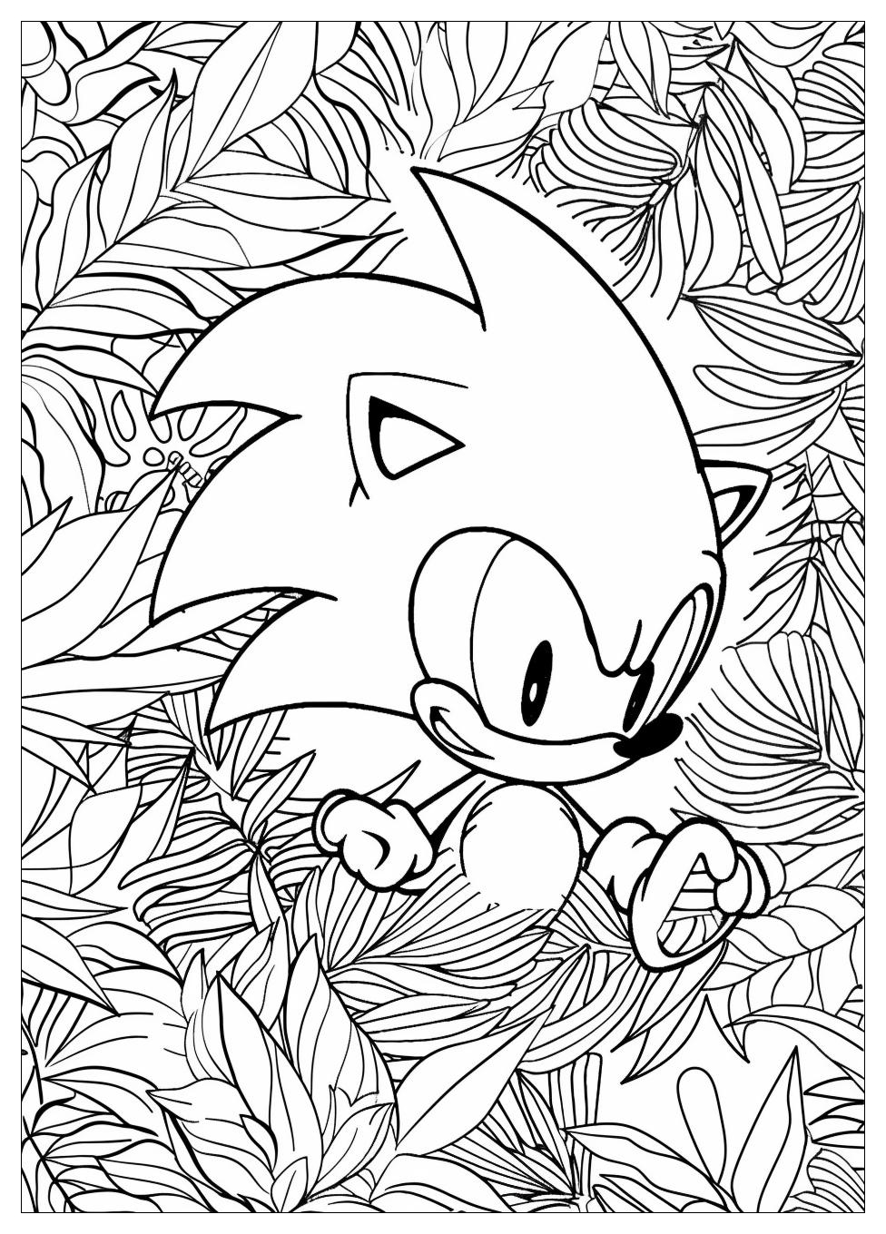 Shadow Sonic Coloring Pages-20