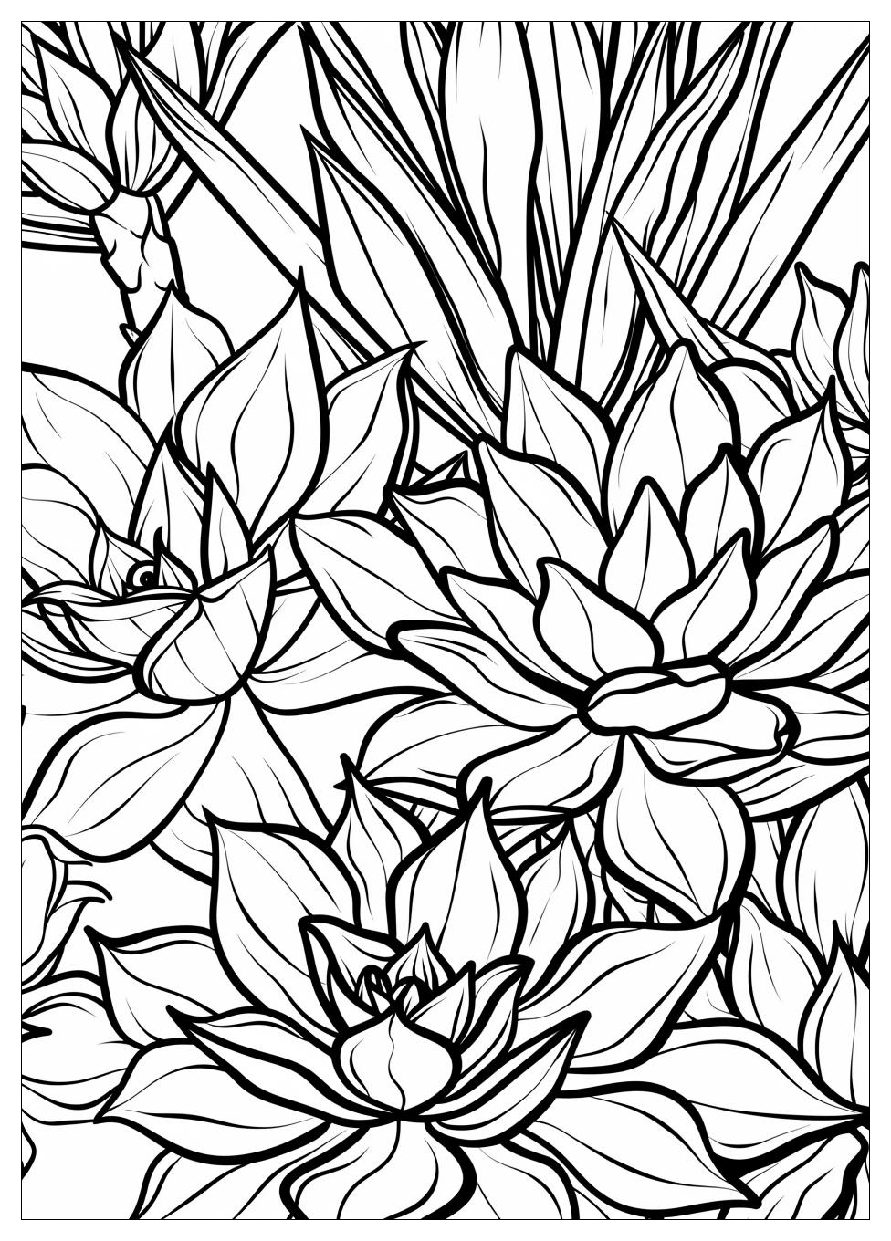 Succulent Coloring Pages-1