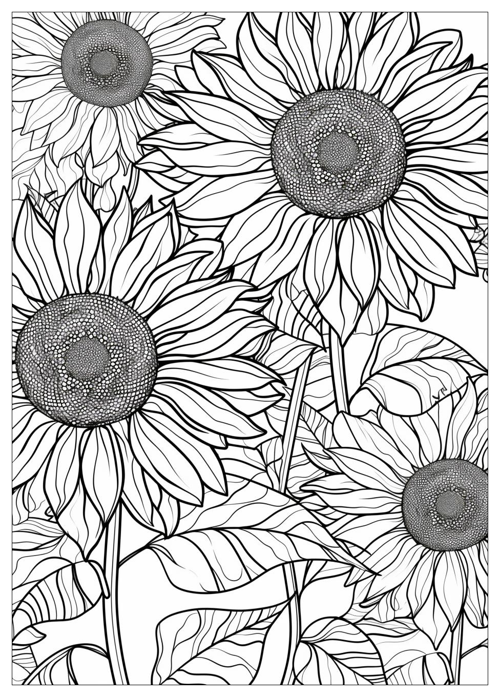 Sunflower Coloring Pages-18