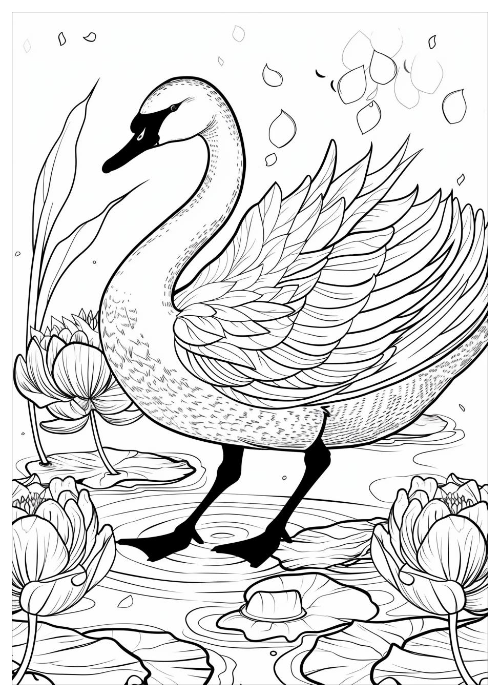 Swan Coloring Pages-12